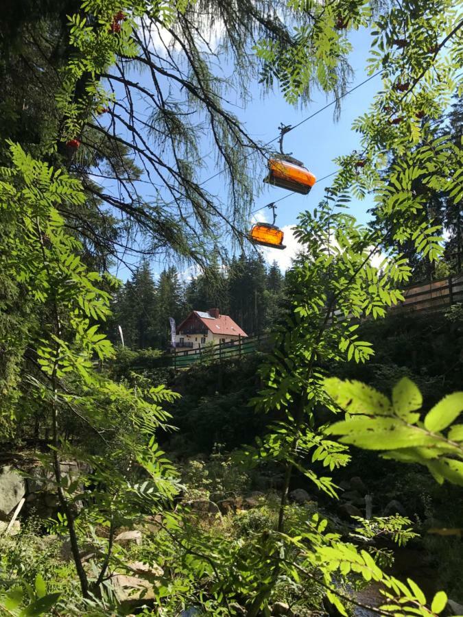 לינה וארוחת בוקר קרפאז' Safir Przy Samym Wyciagu מראה חיצוני תמונה